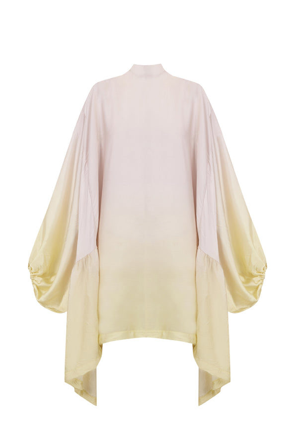 Silkie Dress