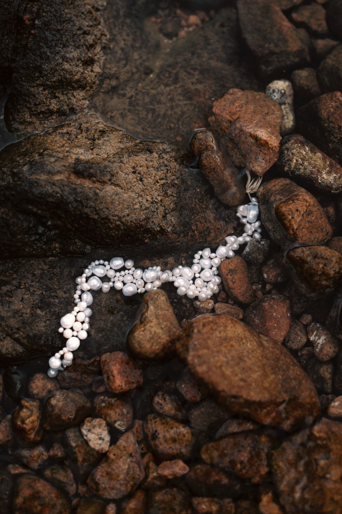 Oceana choker